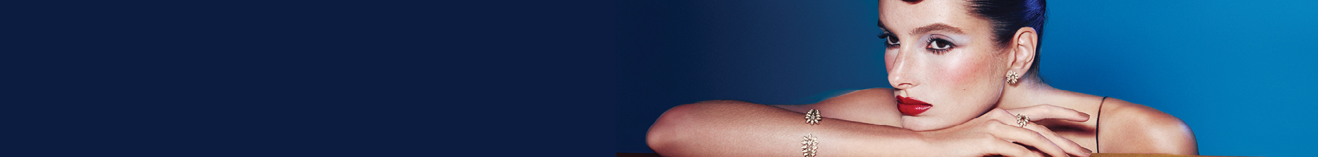 banner1920x230